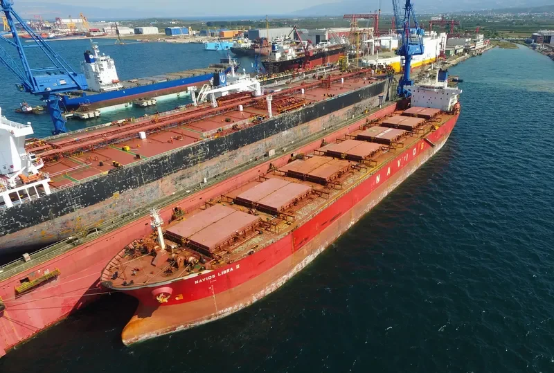 ORIENT LOONG Bulk Carrier IMO 9100085 photo 2