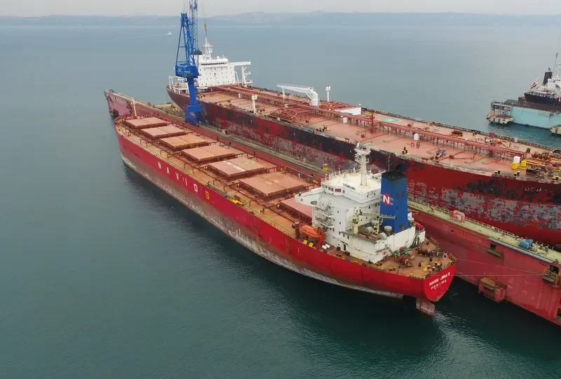 ORIENT LOONG Bulk Carrier IMO 9100085 photo 5
