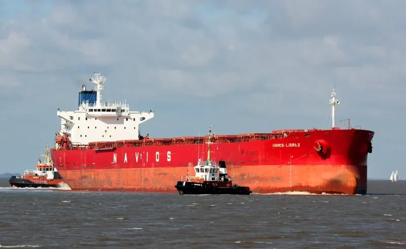 ORIENT LOONG Bulk Carrier IMO 9100085 photo 7