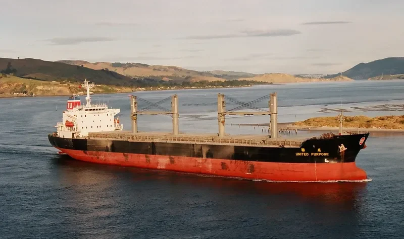 VERA P Bulk Carrier IMO 9100097 photo 7