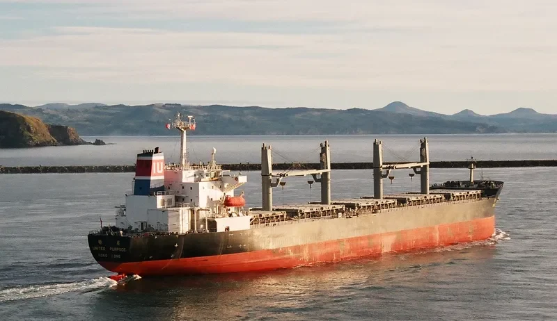 VERA P Bulk Carrier IMO 9100097 photo 8
