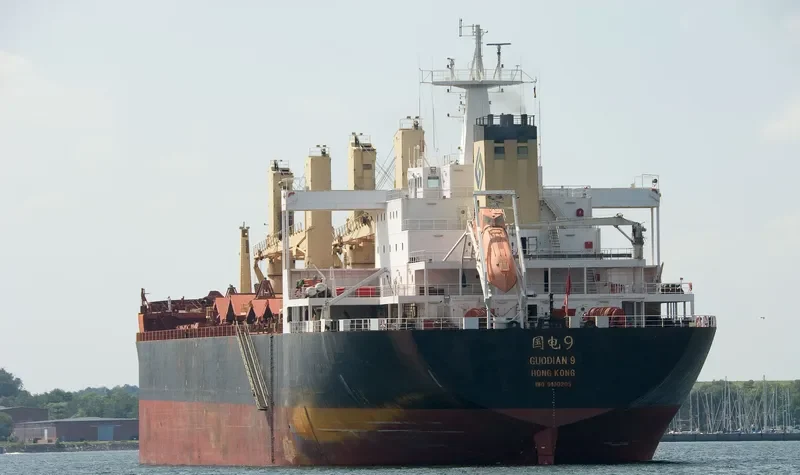 GUO YUAN 9 Bulk Carrier IMO 9100205