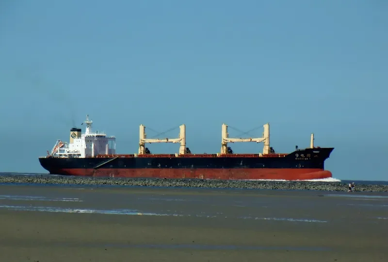 GUO YUAN 9 Bulk Carrier IMO 9100205 photo 2