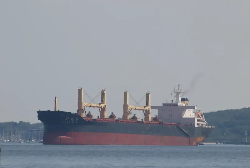 GUO YUAN 9 Bulk Carrier IMO 9100205 photo 4