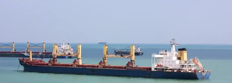 GOLDEN RESOURCE Bulk Carrier IMO 9100217