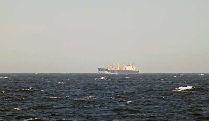GOLDEN RESOURCE Bulk Carrier IMO 9100217 photo 2