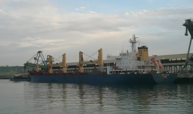 GOLDEN RESOURCE Bulk Carrier IMO 9100217 photo 4