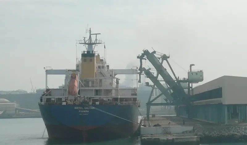 GOLDEN RESOURCE Bulk Carrier IMO 9100217 photo 7