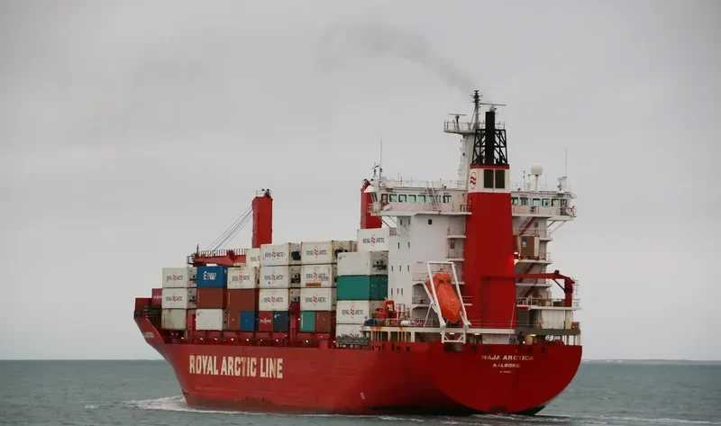 NAJA ARCTICA Container Ship IMO 9100229 photo 3