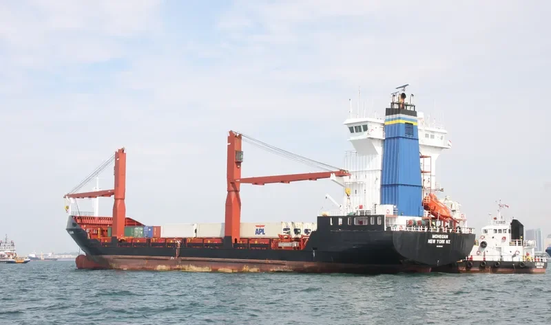 SPAN ASIA 25 Container Ship IMO 9100243