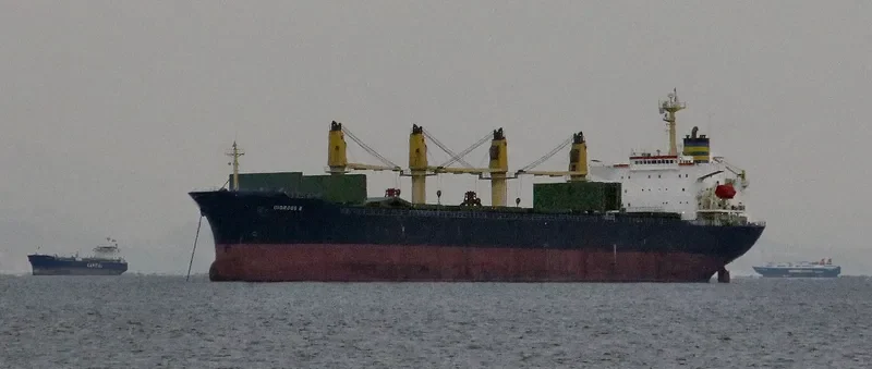 GIORGOS B Bulk Carrier IMO 9100293 photo 2