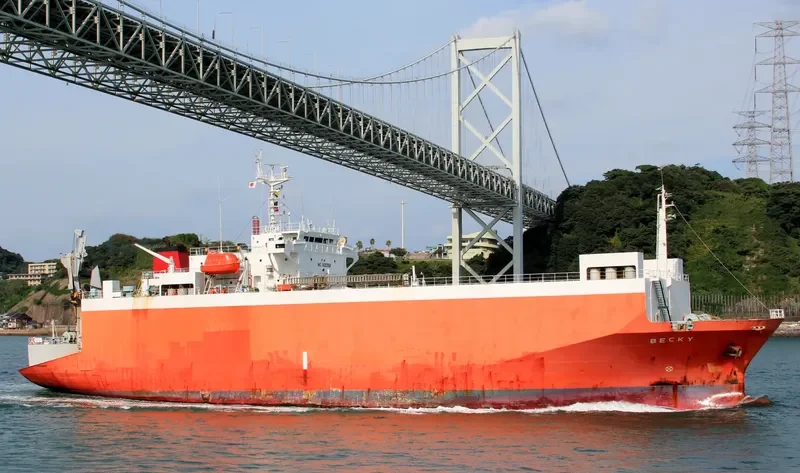 HARMONI MAS 8 General Cargo IMO 9100358 photo 4