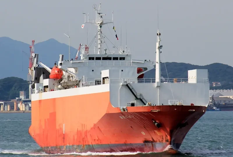 HARMONI MAS 8 General Cargo IMO 9100358 photo 6