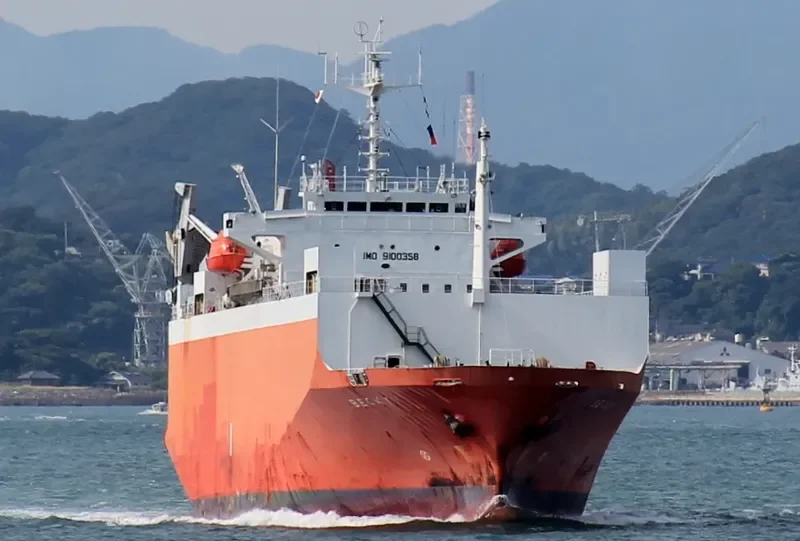 HARMONI MAS 8 General Cargo IMO 9100358 photo 7