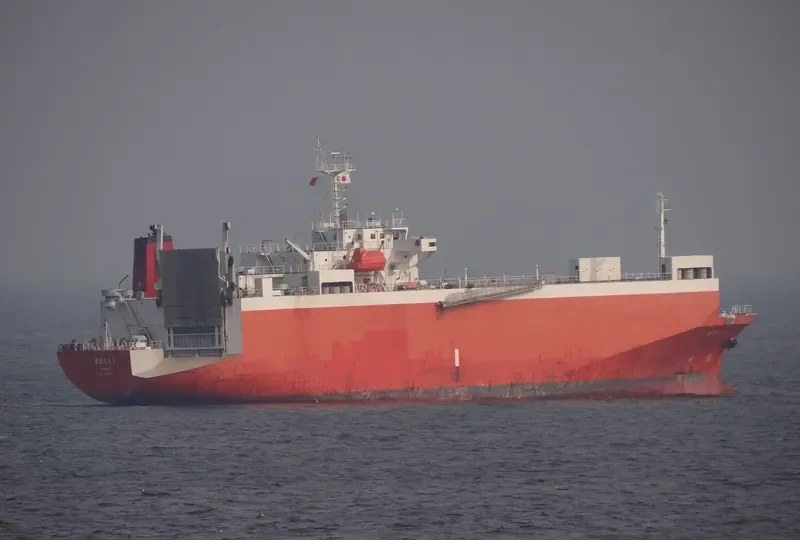 HARMONI MAS 8 General Cargo IMO 9100358 photo 8