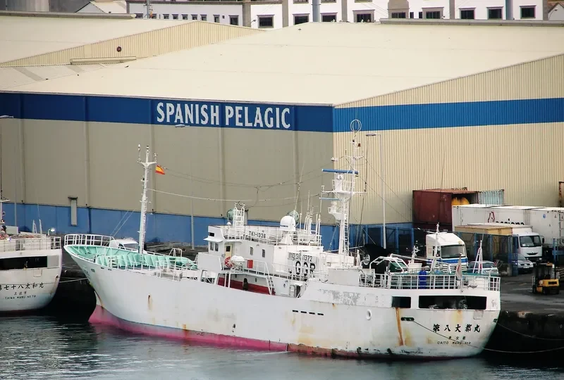 DAITO MARU NO.8 General Cargo IMO 9100372