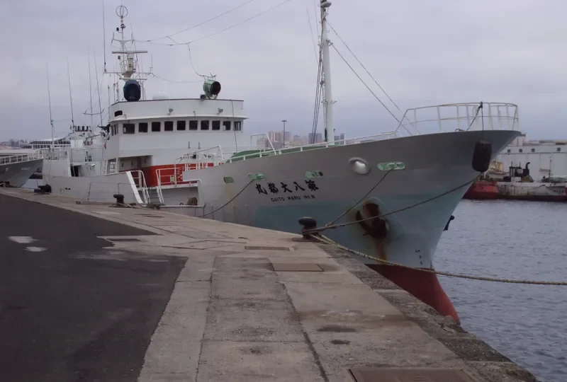 DAITO MARU NO.8 General Cargo IMO 9100372 photo 5