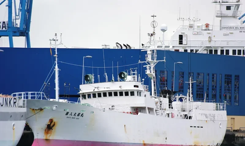 DAITO MARU NO.8 General Cargo IMO 9100372 photo 6
