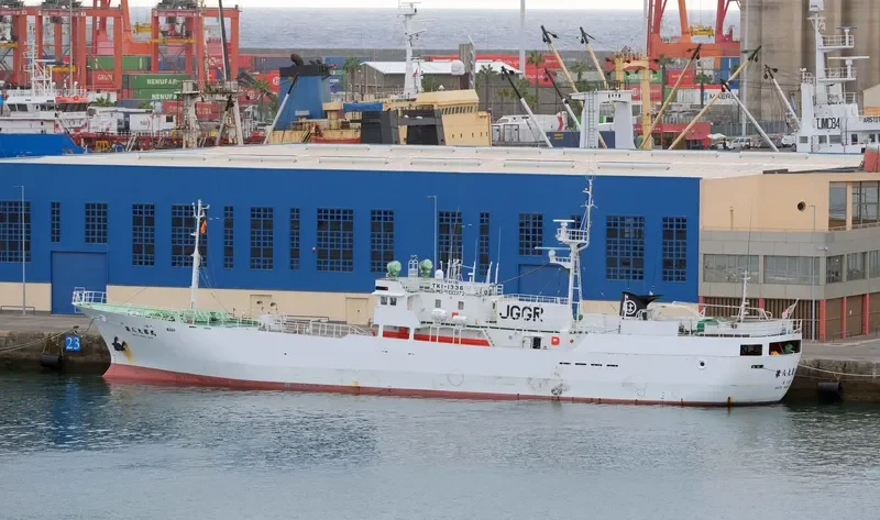 DAITO MARU NO.8 General Cargo IMO 9100372 photo 7