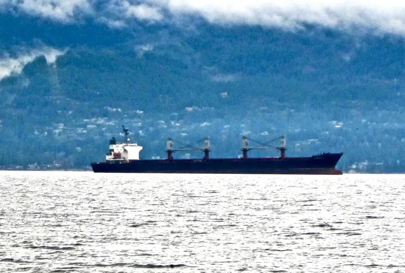 KT 06 Bulk Carrier IMO 9100396 photo 10