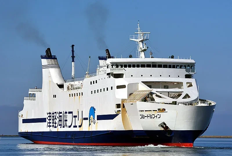 THE BLUE DOLPHIN Ro-Ro IMO 9100437 photo 2