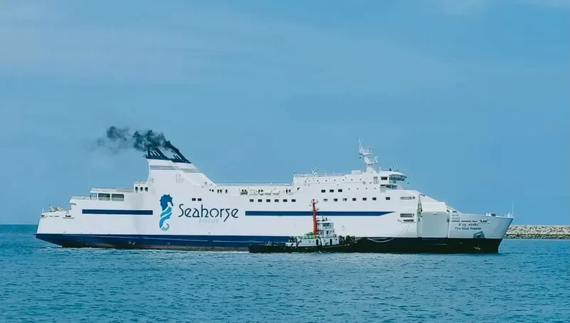 THE BLUE DOLPHIN Ro-Ro IMO 9100437 photo 8