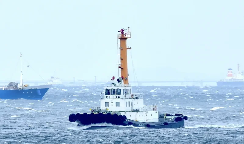 CHIBA MARU General Cargo IMO 9100487 photo 2