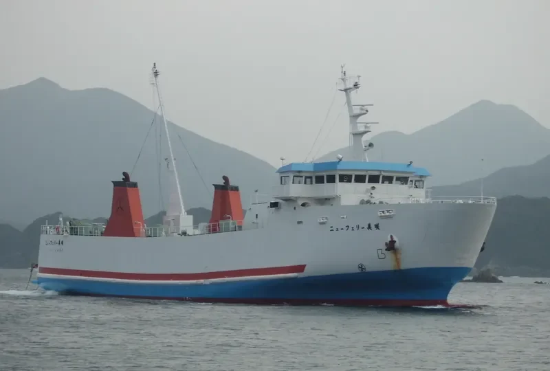 SEATRAN FERRY 9 Ro-Ro IMO 9100657 photo 2