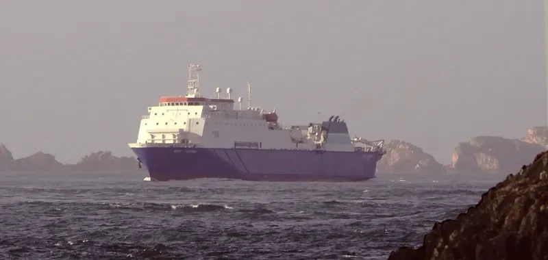WAVE SENTINEL General Cargo IMO 9100748 photo 5