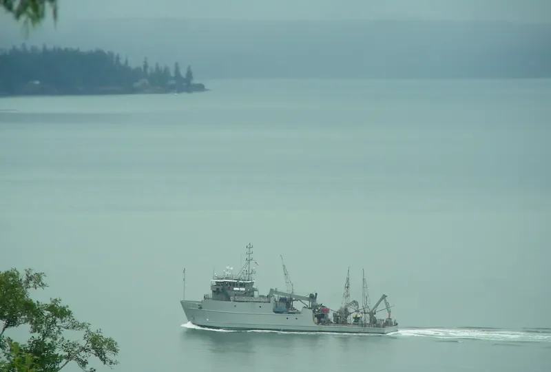 DISCOVERY BAY General Cargo IMO 9100877 photo 3