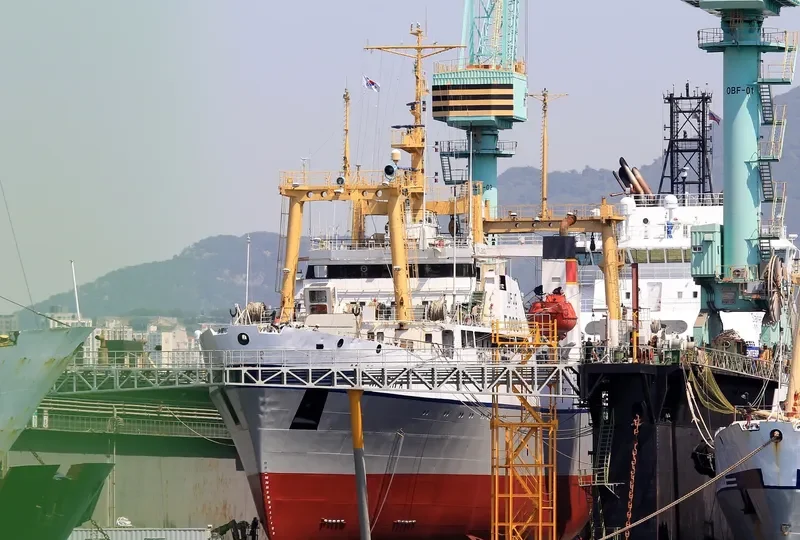 PILENGA General Cargo IMO 9101003 photo 3