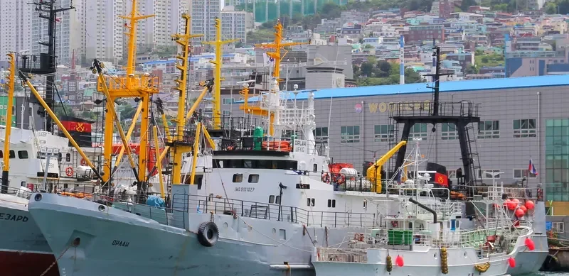 ORLAN General Cargo IMO 9101027 photo 2