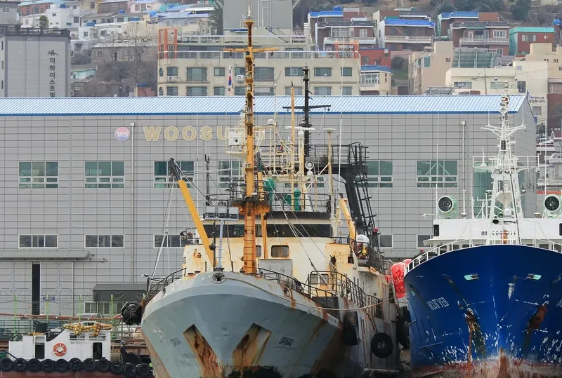 ORLAN General Cargo IMO 9101027 photo 6