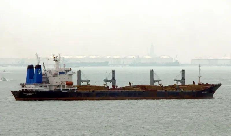 NOURIA Bulk Carrier IMO 9101065 photo 2