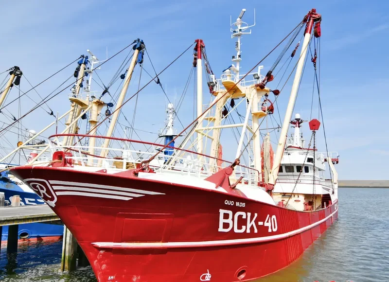 QUO VADIS General Cargo IMO 9101223