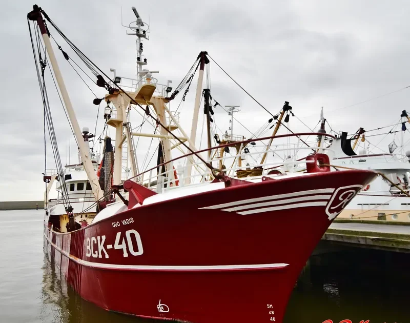 QUO VADIS General Cargo IMO 9101223 photo 5