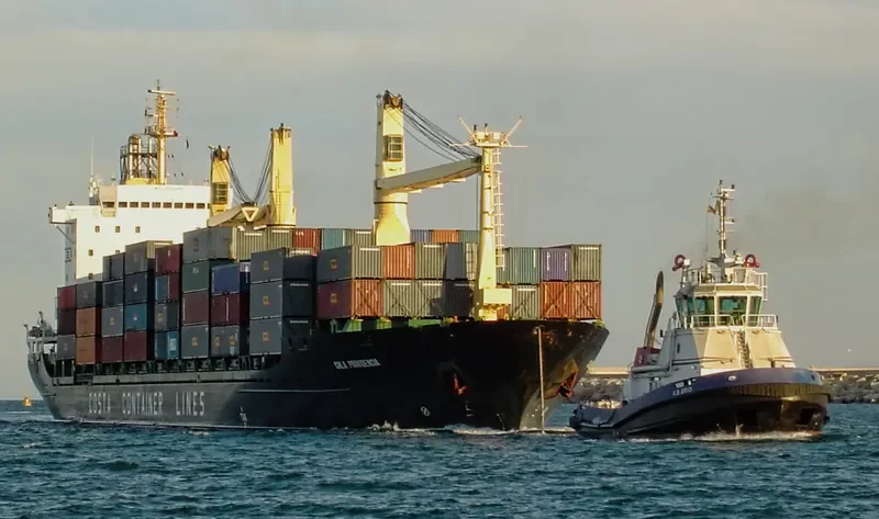 PINYA STAR Container Ship IMO 9101508 photo 2