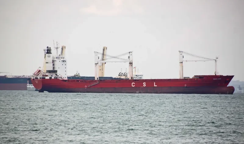 PINYA STAR Container Ship IMO 9101508 photo 5