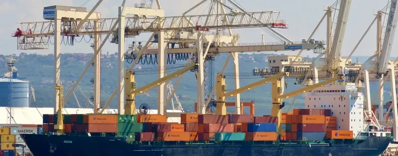 PINYA STAR Container Ship IMO 9101508 photo 8