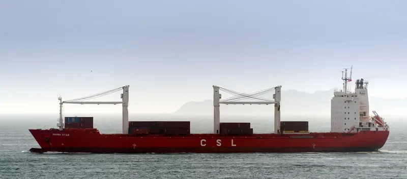 WAVE Container Ship IMO 9101510 photo 3