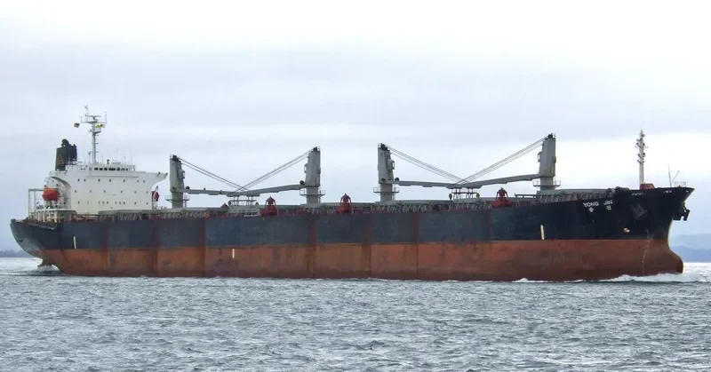 FINE STAR Bulk Carrier IMO 9101558 photo 2
