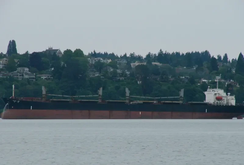 FINE STAR Bulk Carrier IMO 9101558 photo 3