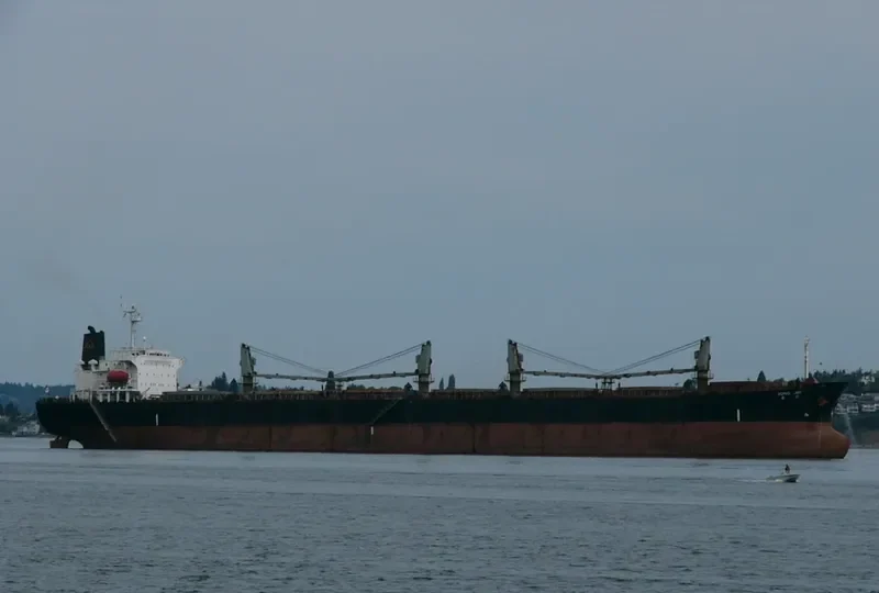 FINE STAR Bulk Carrier IMO 9101558 photo 4