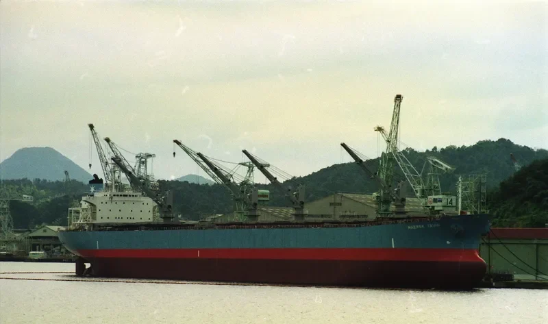 FINE STAR Bulk Carrier IMO 9101558 photo 5