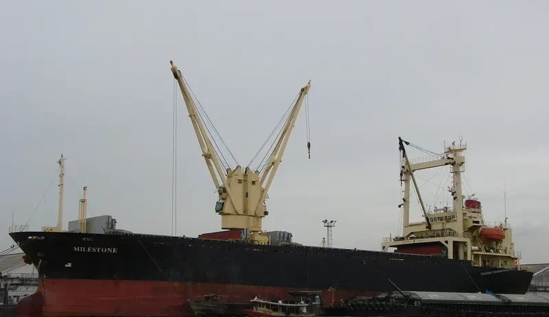 MILESTONE General Cargo IMO 9101584 photo 2