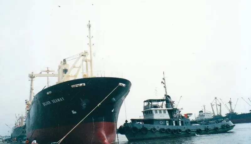 MILESTONE General Cargo IMO 9101584 photo 4