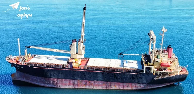 MILESTONE General Cargo IMO 9101584 photo 5