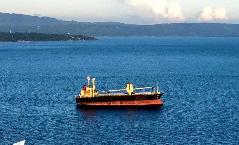 MILESTONE General Cargo IMO 9101584 photo 7