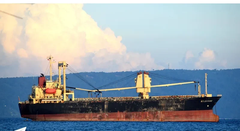 MILESTONE General Cargo IMO 9101584 photo 8