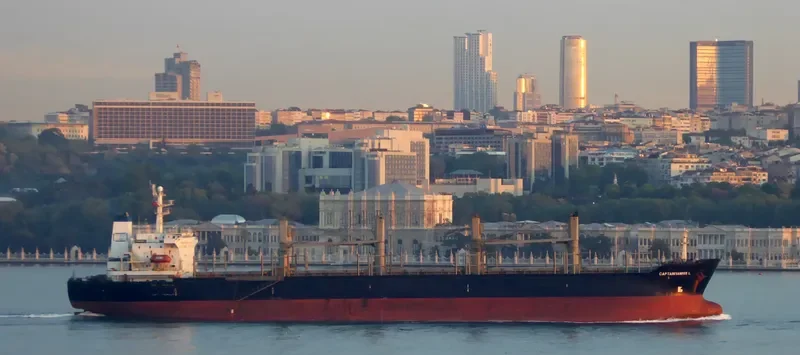 PETRA STAR Bulk Carrier IMO 9101637